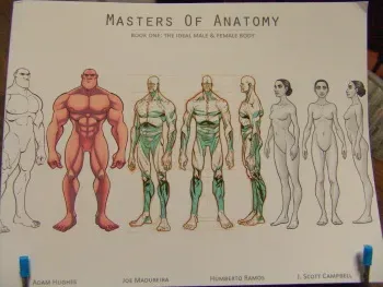 masters of anatomy manga cover