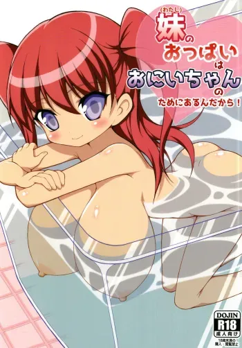 [Hadairozanmai (Mitei)] Imouto no Oppai wa Onii-chan no Tame ni Arun dakara! [Korean] [Digital] manga cover
