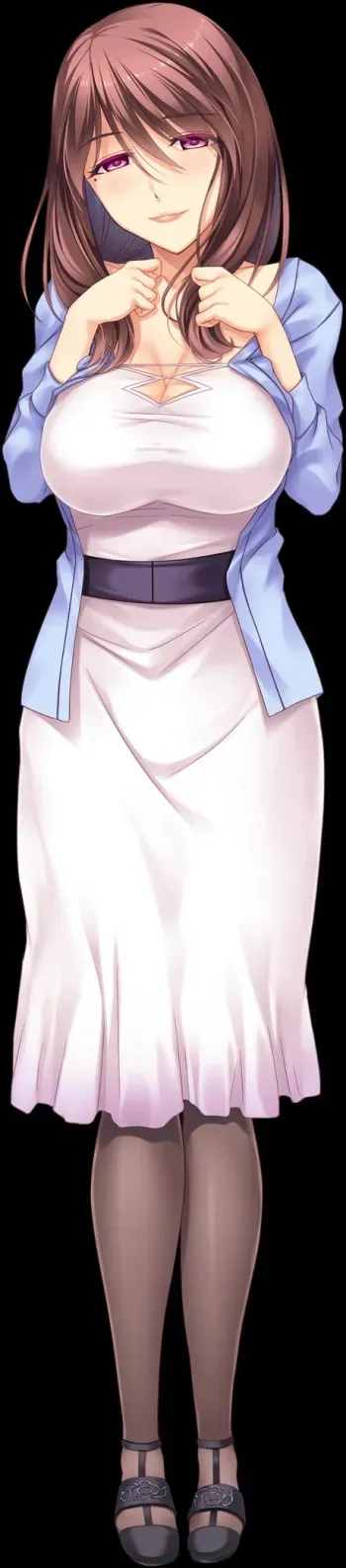 [POISON] Ane Ane W Saimin ~Saimin Souchi de Kyonyuu Ane-domo ni Kyousei Nakadashi, Kichiku Netori de Haramaseteyaru!~ (Character set) manga cover