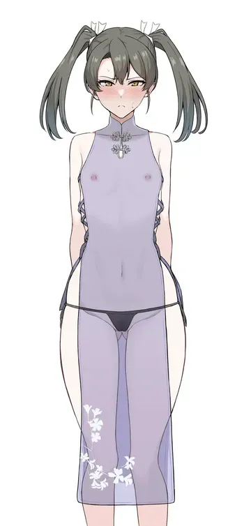 スケスケえろチャイナドレス瑞鶴 manga cover