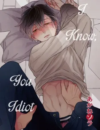Baka da ne, Shitteru yo. | I Know, You Idiot manga cover
