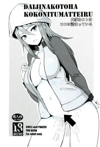 Daijina Koto wa Koko ni Tsumatteiru | Where You Find The Important Things manga cover