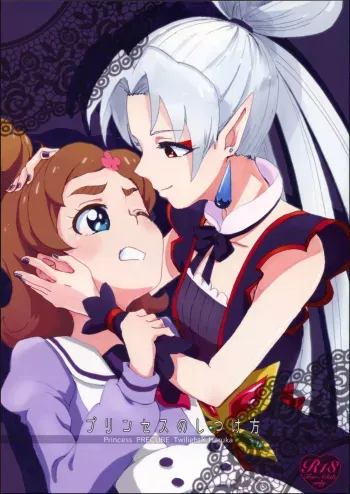 Princess no Shitsukekata | Princess Training manga cover