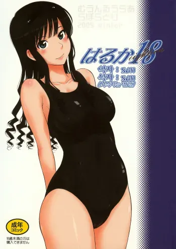 (C77) [MOON RULER (Tsukino Jyogi)] Haruka 18 | 하루카 18 (Amagami) [Korean] [韓 / DC면갤, 번역 By son] manga cover