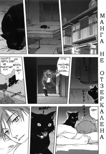 [Mitarashi Kousei] Neko no Ongaeshi | Кошка, которая платит за доброту (Kazoku Donburi) [Russian] [Neko-Punk] manga cover