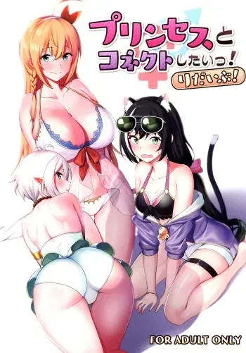 Princess to Connect Shitai! ReDive! | I want to connect with a princess! ReDive! manga cover
