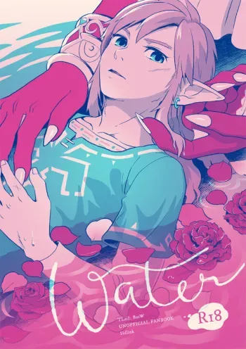 [tsugumi_pp] Water (Legend of Zelda) manga cover