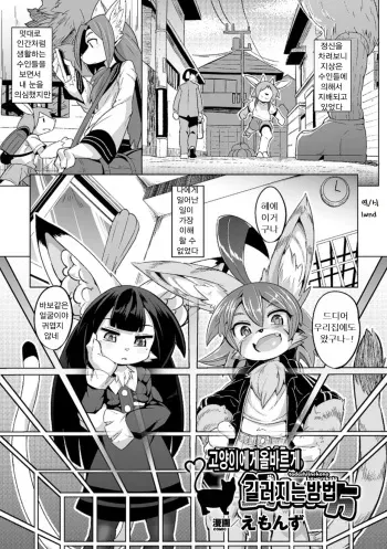 [Emons] Tadashii Neko no Kawa Rekata (2D Comic Magazine Monster Musume ni Okasaretai! Vol. 2) [Korean] [Lwnd] [Digital] manga cover