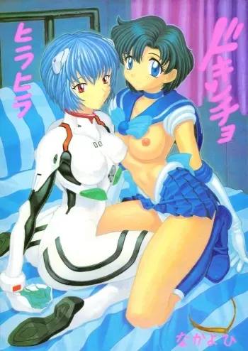 (C51) [Nakayohi (Mogudan)] Hira Hira Dokin Cho (Bishoujo Senshi Sailor Moon, Neon Genesis Evangelion, VS Knight Lamune & 40 Fire) manga cover