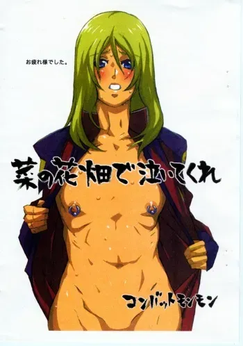 (C67) [COMBAT MON-MON (Hiratsura Masaru)] Nanohana hata de naite kure manga cover