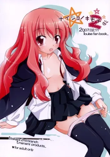 (SC34) [Titokara 2nd Branch (Manami Tatsuya)] Naisho no Kimochi 2 (Zero no Tsukaima) manga cover
