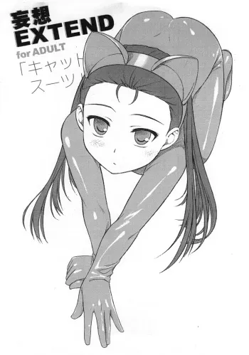 (COMIC1☆4) [Flavor Graphics (Mizui Kaou)] Mousou Extend (THE IDOLM@STER) manga cover