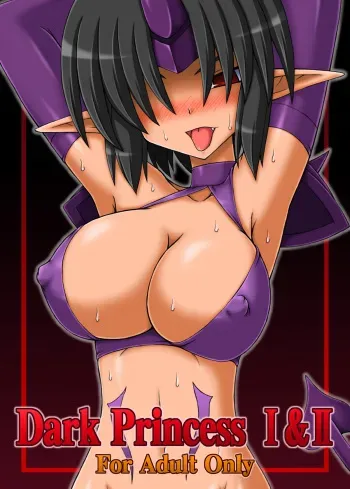 [Crooked Navel (Sanada Kuro)] Dark Princess Soushuuhen [Digital] manga cover