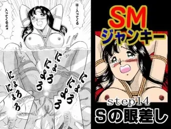 [Marumi Kikaku (Satomaru)] S&M Junkie 14 - The Gaze of Sadism manga cover
