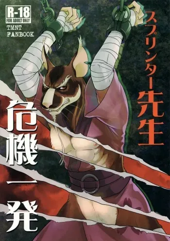 (Fur-st 8) [INK (Kreuz, Kandagawa Gufu)] Splinter Sensei Kikiippatsu | Splinter Sensei's Crisis (Teenage Mutant Ninja Turtles) [English] [SakuraJizz] manga cover