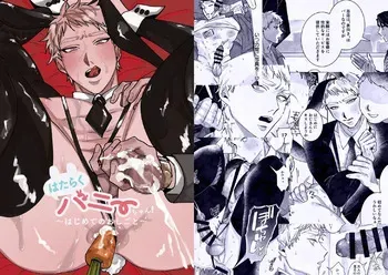 [Taihen yoku dekimashita.] Hataraku bunny chan ~ Hajimete no oshigoto ~ manga cover