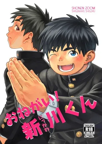 Onegai! Nikkawa-kun | Please, Nikkawa! manga cover