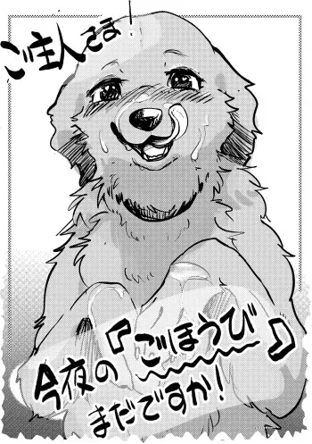 [Kon Juuichibai (Momou)] Goshujin-sama! Konya no "Gohoubi" Mada desu ka! [English] [Decensored] [Digital] manga cover
