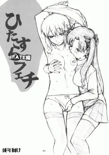 Hitazura Fetish FATE hen manga cover