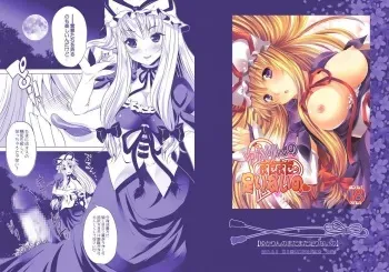 [Rojiura Manhole (MAKI)] Yukarin no Madamada Tarinai no (Touhou Project) [Digital] manga cover