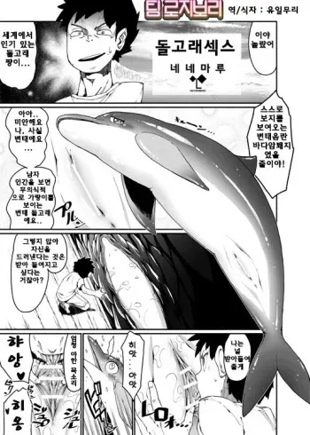 [Nenemaru] Irukax | Dolphin-Sex [Korean] [Team Rosybory] manga cover