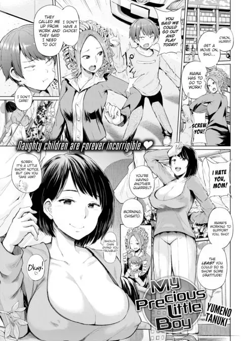 My Precious Little Boy manga cover