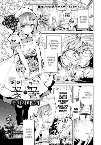 [Kaza Midori] Maid no Hana to Mitsu - Maid's flowers and honey... | 메이드의 꽃과 꿀 (COMIC BAVEL 2024-04) [Korean] [Decensored] [Digital] manga cover