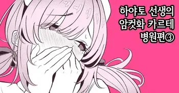 [TuriSasu] Hayato Sensei no Mesu-ka Karute Byouin-hen 3 [Korean] manga cover