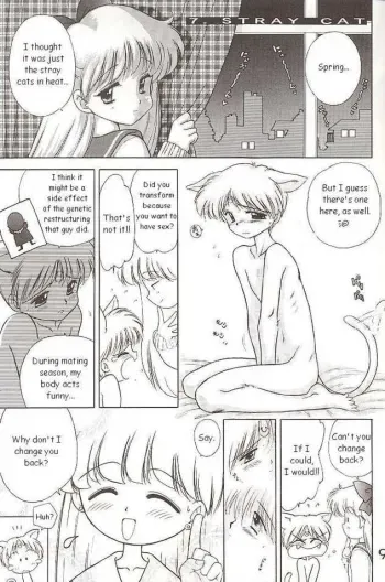 Sailor Venus - The Stray Cat manga cover