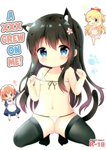 Watashi ni XXX ga Haete Kita! | A XXX Grew on Me! manga cover