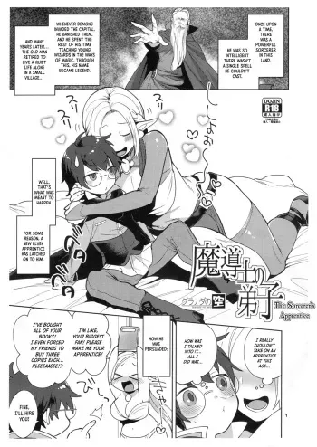 The Sorcerer's Apprentice manga cover