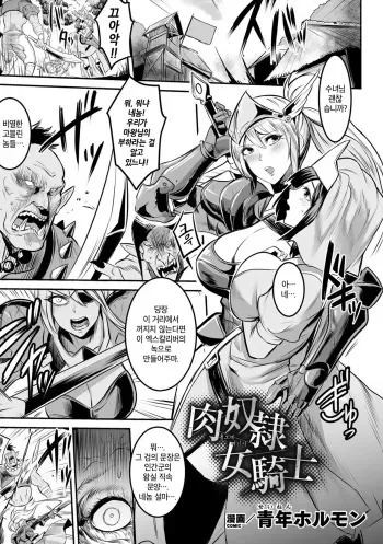 [Seinen Hormone] Nikudorei Onna Kishi | 육노예 여기사 (Haiboku Otome Ecstasy Vol. 20) [Korean] [Digital] manga cover