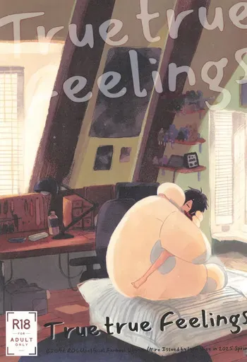 [Lyricalize (Usachico)] True true Feelings (Big Hero 6) manga cover