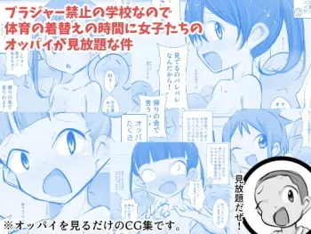 [Neko Python] Brassieres Kinshi no Gakkou nano de Taiiku no Kigae no Jikan ni Jyositachi no Oppai ga Mihoudai na Ken manga cover