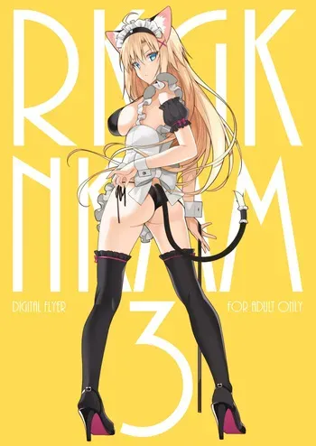 [Digital Flyer (Oota Yuuichi)] RKGKNKMM3 [Digital] manga cover