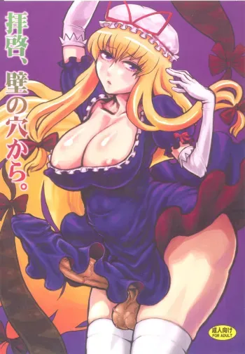 (Futaket 6) [Kakumei Seifu Kouhoushitsu (Radiohead)] Haikei, Kabe no Ana kara. (Touhou Project) [Korean] manga cover