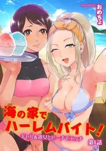 [Omecho] Umi no Ie de Harem Beit! Gal & Shojo to Beach de Ecchi Ch. 1-3 manga cover