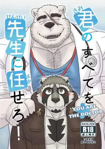 You are the doctor manga cover