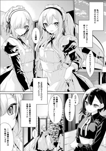 [Zanka] Ojou-sama o Iyashitai Futago Maid-san manga cover