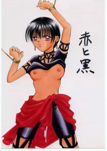 [Hiyoko B.B. (Kuropiyo)] Aka to Kuro (Suikoden) manga cover