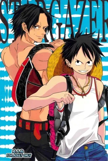 (C78) [Reindeer (senbu)] STARGAZER (One Piece) manga cover