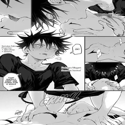 OGKuna x Succubus! Megumi For Strad In The Skfsit SS Event [Yaoi] [Doujinshi] manga cover