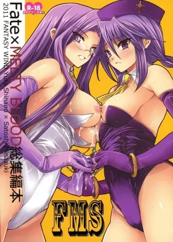[FANTASY WIND (Shinano Yura, Minazuki Satoshi)] FMS (Fate/stay night, Melty Blood) manga cover