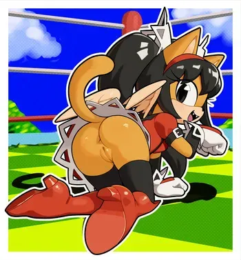 [Bunguy] Honey the Cat (Sonic the Hedgehog) manga cover