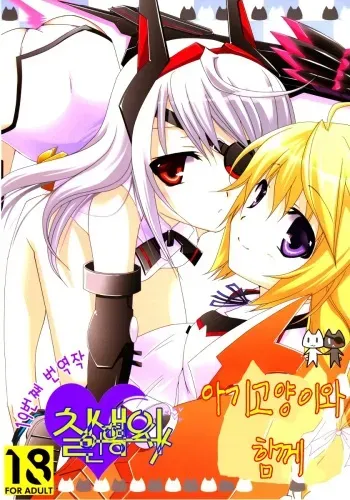 (C78) [CHAGASHI SAIBAN (Yamabuki Mook)] Koneko de Issho (IS <Infinite Stratos>) [Korean] manga cover