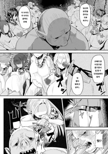 [Taji] Hitoya no Elf (2D Comic Magazine Botebara Sex de Nikubenki Ochi! Vol. 1) [Korean] [Digital] manga cover