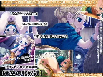 [Reason] DQV Bianca Tettei Ryoujoku "Tenkuu no Mesu Dorei" (Dragon Quest V) manga cover
