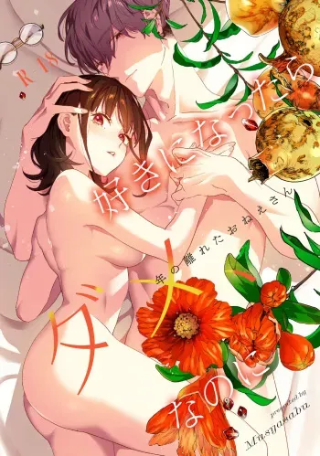 Suki ni Nattara Dame, Nanoni -Toshi no Hanareta Onee-san- manga cover
