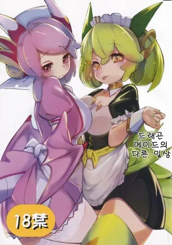 (Gouyoku de Kenkyo na Event TURN7) [Nokishita de Hnshoku (Kekun)] Dramaid no Ura Nichijou | 드래곤 메이드의 다른 일상 (Yu-Gi-Oh! OCG) [Korean] manga cover