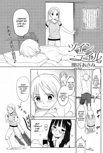 Twin Tail #3;6 manga cover